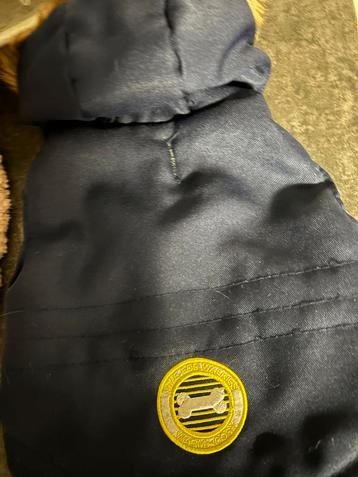 Hondenjas beschikbaar voor biedingen