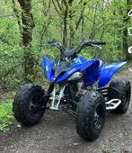 Yamaha raptor 250cc