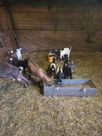 Te koop dwerggeiten, Dieren en Toebehoren, Schapen, Geiten en Varkens, Meerdere dieren, Varken