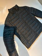 Hugo boss winterjas maat L z.g.a.n., Kleding | Heren, Jassen | Winter, Ophalen of Verzenden, Zo goed als nieuw, Zwart