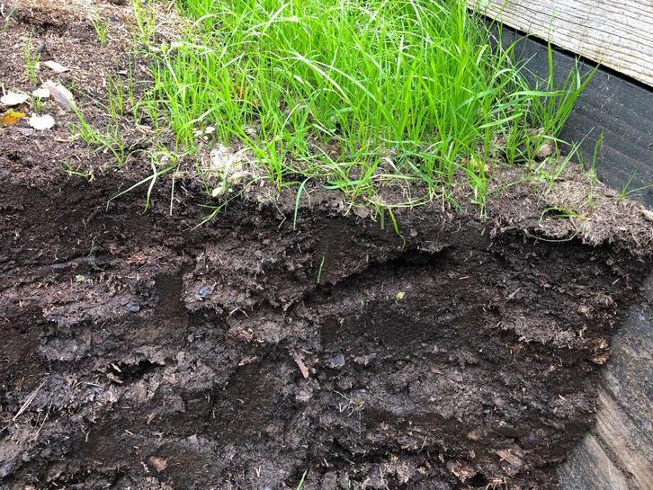 mest paardenmest gratis af te halen, Tuin en Terras, Aarde en Mest, Mest, Ophalen