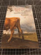 Het geheim van Eberwein - Boudewijn Büch, Ophalen of Verzenden, Gelezen, Boudewijn Büch, Nederland
