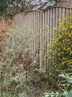 houten schutting delen, Tuin en Terras, Schuttingen, Ophalen, 6 meter of meer, Hout, 1 tot 2 meter