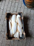 Doosje Sepia, Dieren en Toebehoren, Ophalen of Verzenden, Nieuw