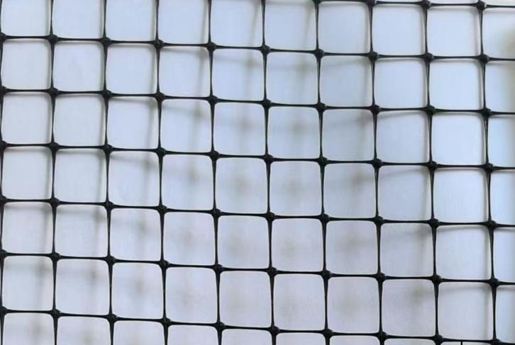 Mollengaas op rol van 25 meter, Tuin en Terras, Gras en Kunstgras, Nieuw, Gras, 20 m² of meer, Ophalen of Verzenden