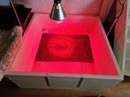 werpkist puppies met doodligstang en warmtelamp, Dieren en Toebehoren, Honden-accessoires, Ophalen, Zo goed als nieuw