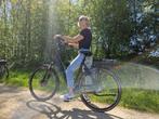 Amslod Newton LX 43V 600Wh Ebike, Fietsen en Brommers, Fietsen | Heren | Herenfietsen, Overige merken, Versnellingen, Ophalen of Verzenden