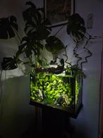 Superfish tropical start 70, Dieren en Toebehoren, Vissen | Aquaria en Toebehoren, Ophalen, Gebruikt, Leeg aquarium