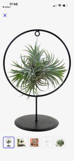 Rek decoratie ring krans hanger voor luchtplant, Ophalen of Verzenden, Zo goed als nieuw