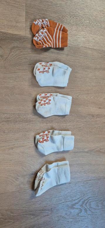 5 paar babysokjes, bambino en kruidvat, 6 tot 12 maanden beschikbaar voor biedingen