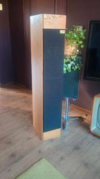 Pied Piper  mk4  luidsprekers aanbieding t/m 14 februari!, Audio, Tv en Foto, Gebruikt, Minder dan 60 watt, Front, Rear of Stereo speakers