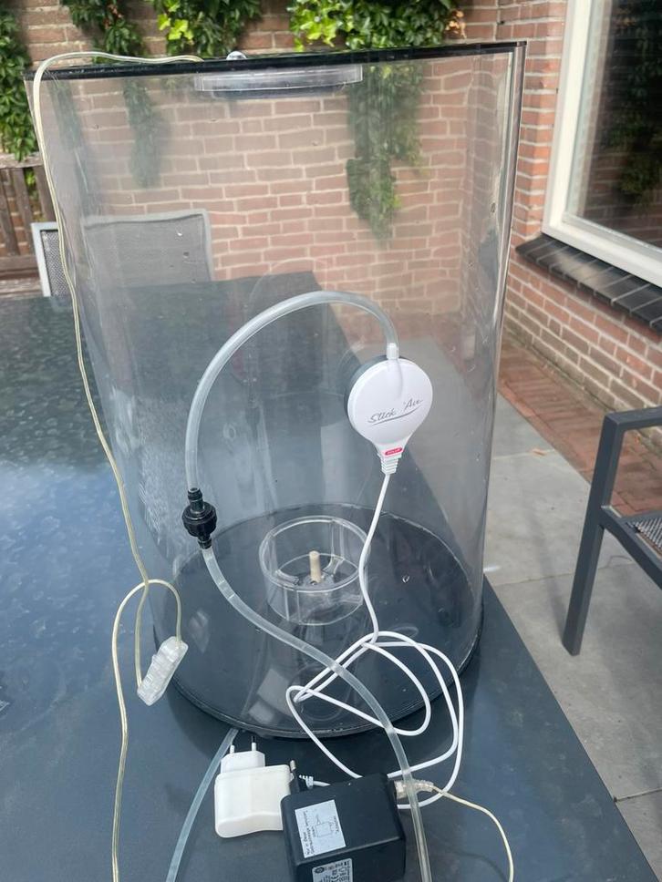 BiOrb tube led zwart met accessoires, Dieren en Toebehoren, Vissen | Aquariumvissen, Vis