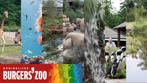 4 Toegangskaarten Burgers' Zoo Arnhem!, Tickets en Kaartjes, Recreatie | Dierentuinen, Drie personen of meer, Ticket of Toegangskaart