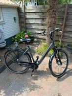Pegasus salerno dames fiets, Overige merken, 53 tot 56 cm, Ophalen of Verzenden, Zo goed als nieuw
