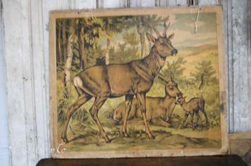 Oude schoolplaat ´herten´. beschikbaar voor biedingen