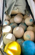 Tas vol gebruikte hockeyballen ca. 35 stuks, Sport en Fitness, Hockey, Ophalen of Verzenden, Gebruikt, Bal