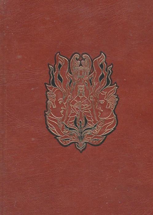 Mitchel Gejaagd door de wind. Rose Gronon De Gyldenlöve Saga, Boeken, Romans, Zo goed als nieuw, Ophalen of Verzenden