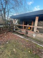 Paardenbak paddock, Weidegang, 4 paarden of pony's of meer