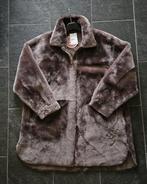 Studio AR  Teddy / echt Ledere Coat, Kleding | Dames, Jassen | Winter, Ophalen of Verzenden, Nieuw, Maat 46/48 (XL) of groter