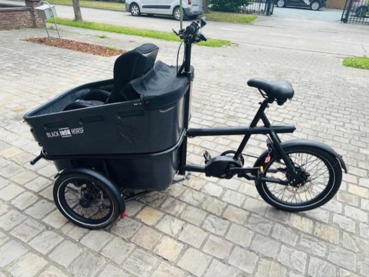 Elektrische 3 wieler bakfiets, Fietsen en Brommers, Fietsen | Bakfietsen, Nieuw, Overige merken, 2 kinderen, Elektrisch, Huif