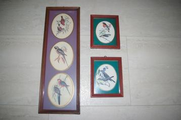 Schilderijtjes met vogel afbeeldingen 3 stuks. beschikbaar voor biedingen