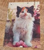 Mooi poesje (ansichtkaart), Verzenden, Gelopen, Hond of Kat