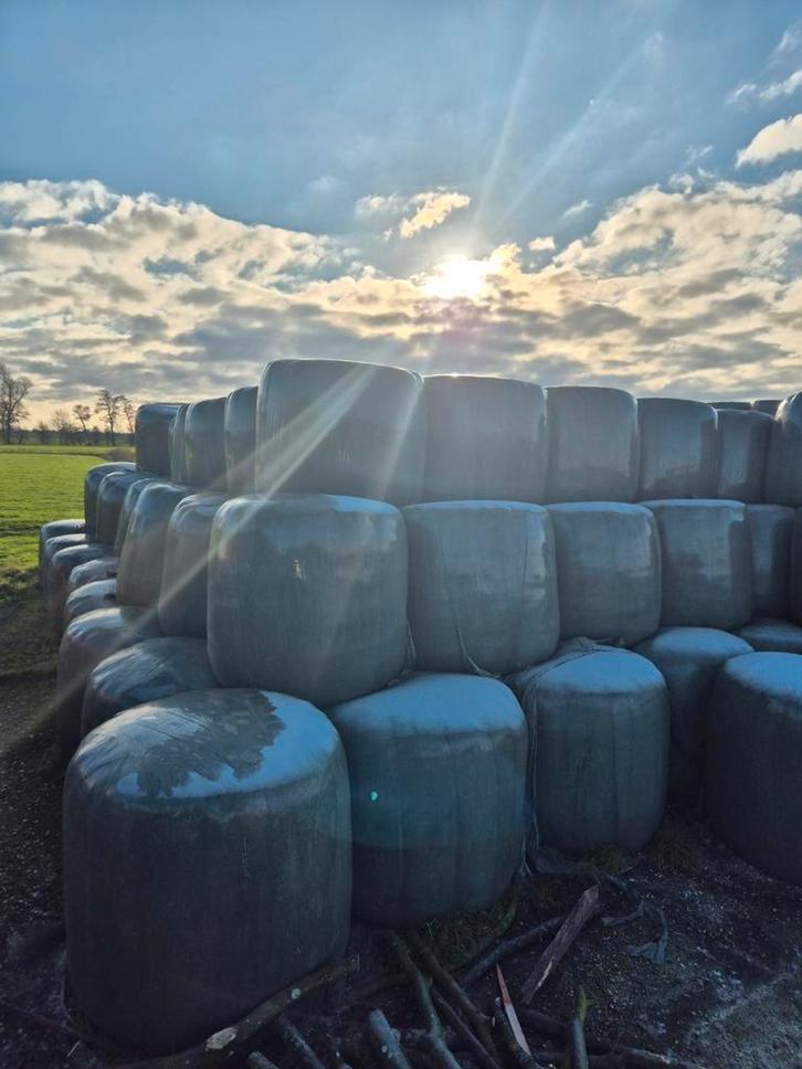 Kuilbalen 1e kwaliteit, Dieren en Toebehoren, Dierenvoeding, Vee, Ophalen of Verzenden