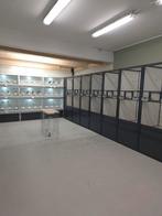 Ruime keuze tropische vogels en europese cultuurvogels, Dieren en Toebehoren, Vogels | Overige Vogels, Meerdere dieren, Tropenvogel