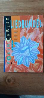 Liedbundel Youth for Christ, Boeken, Ophalen of Verzenden, Gelezen, Youth for Christ, Christendom | Protestants