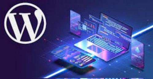Website hulp in Arnhem - Shopify hulp - Wordpress hulp, Boeken, Informatica en Computer, Internet of Webdesign, Ophalen of Verzenden
