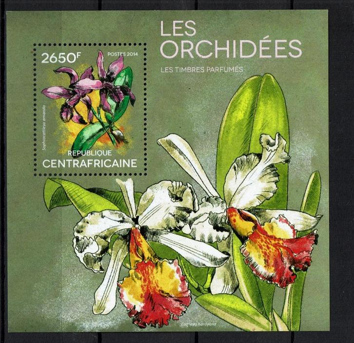 C.AFRIKA PF BLOK ORCHIDEEËN ORCHIDS BLOEMEN FLOWERS, Postzegels en Munten, Postzegels | Thematische zegels, Postfris, Dier of Natuur