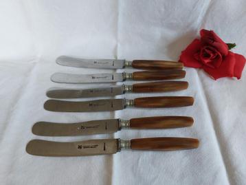 Solingen F. von Brosy Steinberg 6 messen hoornen heft beschikbaar voor biedingen