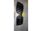 Grille van een BMW X1, Gebruikt, -, -, Ophalen of Verzenden