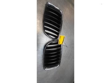 Grille van een BMW X1 beschikbaar voor biedingen