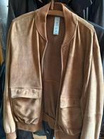 Baldessarini 100% suede jas nieuw maat M/L, Ophalen of Verzenden, Nieuw