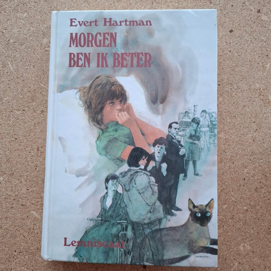 Morgen ben ik beter evert hartman, Boeken, Ophalen of Verzenden, Zo goed als nieuw, Evert Hartman