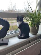 Kattenoppas gezocht!, Ophalen of Verzenden