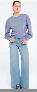 Fabienne Chapot Flo sweater/ trui maat L  *nieuw *, Kleding | Dames, Truien en Vesten, Fabienne Chapot, Ophalen of Verzenden, Nieuw