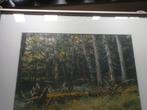 Mooi Bosgezicht, met omgevallen boom.Origineel geschilderd, Ophalen, Minder dan 50 cm, Schilderij, Minder dan 50 cm