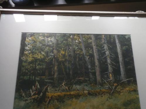 Mooi Bosgezicht, met omgevallen boom.Origineel geschilderd, Huis en Inrichting, Woonaccessoires | Schilderijen, Tekeningen en Foto's