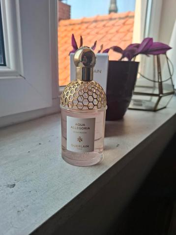 Rosa Rossa Aqua Allegoria  beschikbaar voor biedingen