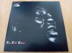 CD Big Bill Broonzy - Big Bill Blues, Cd's en Dvd's, Cd's | Jazz en Blues, Blues, Verzenden