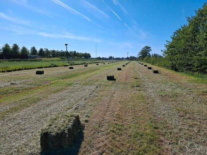 Hooi en stro baaltjes 20 kg met bezorgservice, Dieren en Toebehoren, Dierenvoeding, Vee, Ophalen of Verzenden
