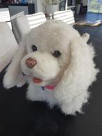 Hondje met afstandsbediening, Ophalen of Verzenden, Hond