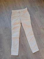 Broek Angels velvet maat 36, zgan!, Ophalen of Verzenden, Zo goed als nieuw, Overige kleuren, W28 - W29 (confectie 36)
