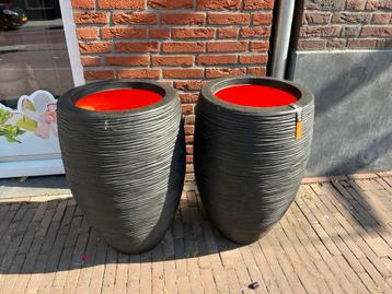 2 grote capi bloembakken beschikbaar voor biedingen