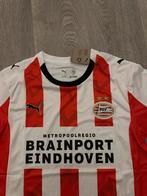 PSV Thuisshirt 25/26 Eredivisie maat M, Maat M, Ophalen of Verzenden, Nieuw, Shirt