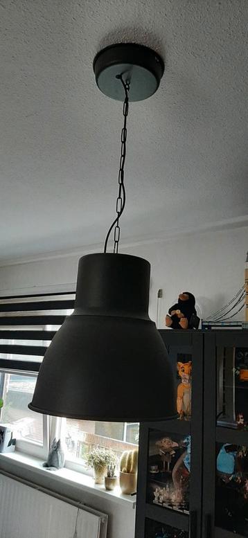 Hektar hanglamp beschikbaar voor biedingen