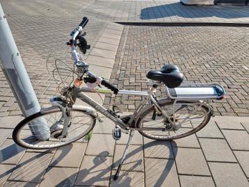 gazelle beschikbaar voor biedingen
