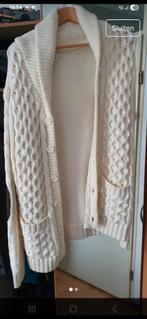 Mooie warme wollen vest - Maat L, Ophalen of Verzenden, Zo goed als nieuw, Wit